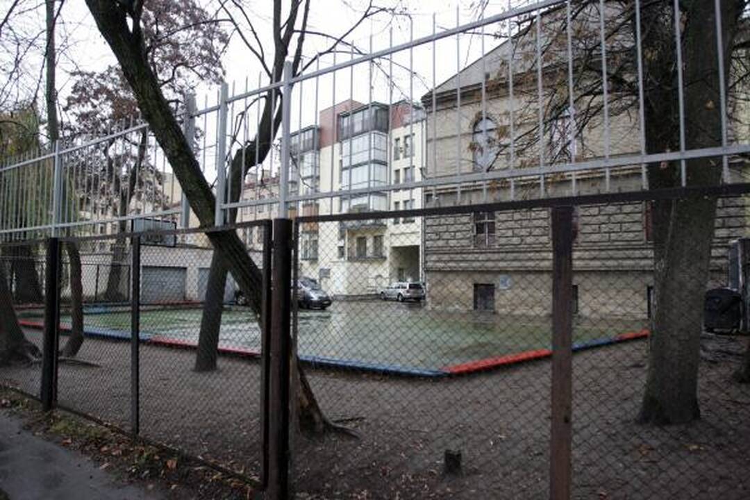 Vilniaus mokykloje nustatytas kiaulių gripo atvejis (papildyta)