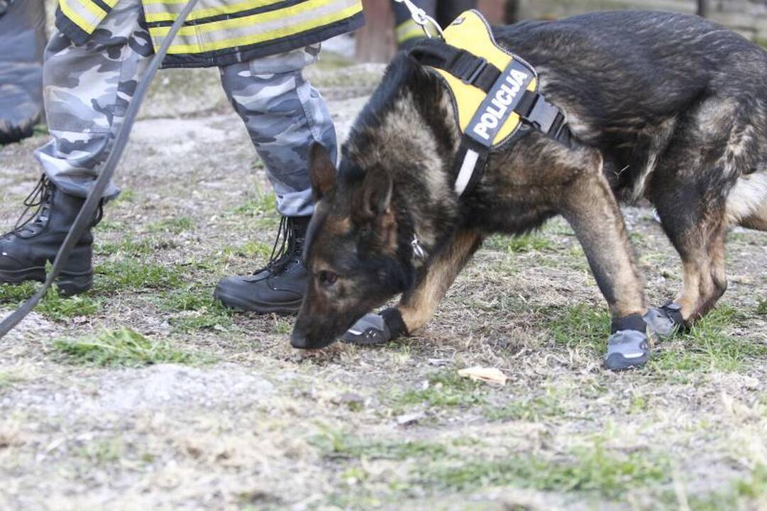 Plačiojoje g. įgriuvo dviaukščio namo stogas 