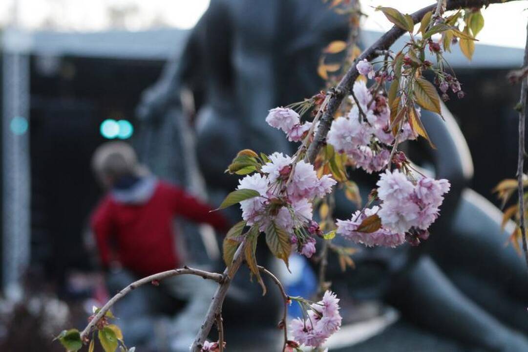 Palanga neatsikrato senojo įvaizdžio 