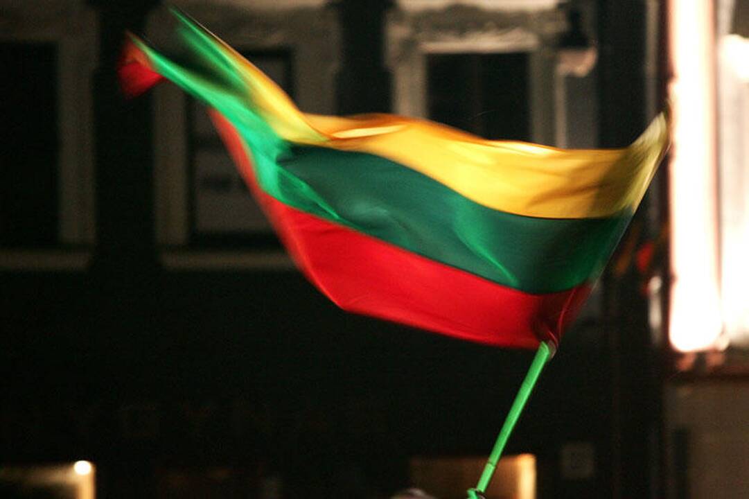 Tautinių bendrijų tarybos pirmininkas pasigenda pilietinės visuomenės