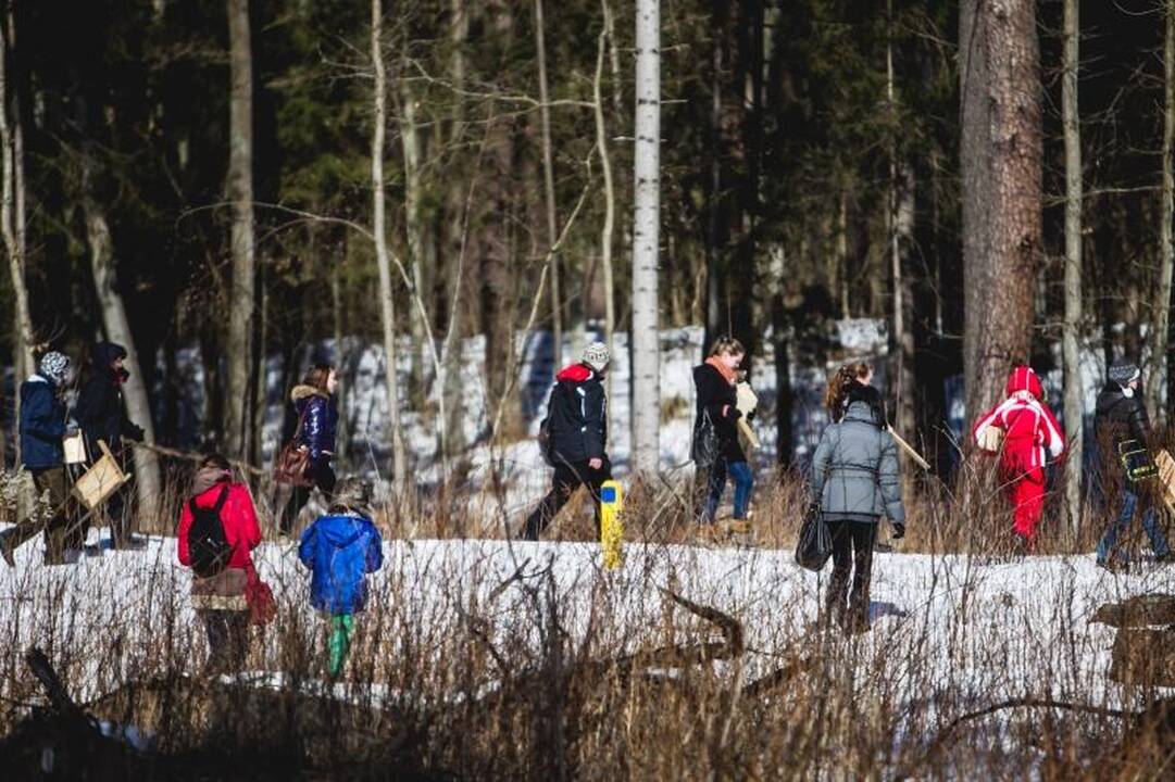 Panemunės šile iškelta per 100 naujų inkilų