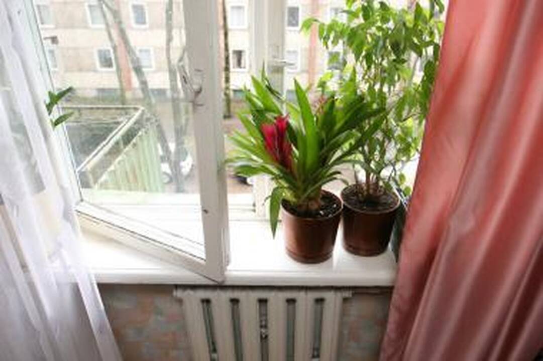 Patalpų vėdinimas: mitai ir tiesa