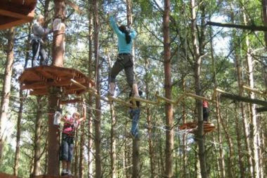 Įspūdinga: sudėtingos konstrukcijos tarp medžių išdėstytos iki 12 metrų aukštyje.