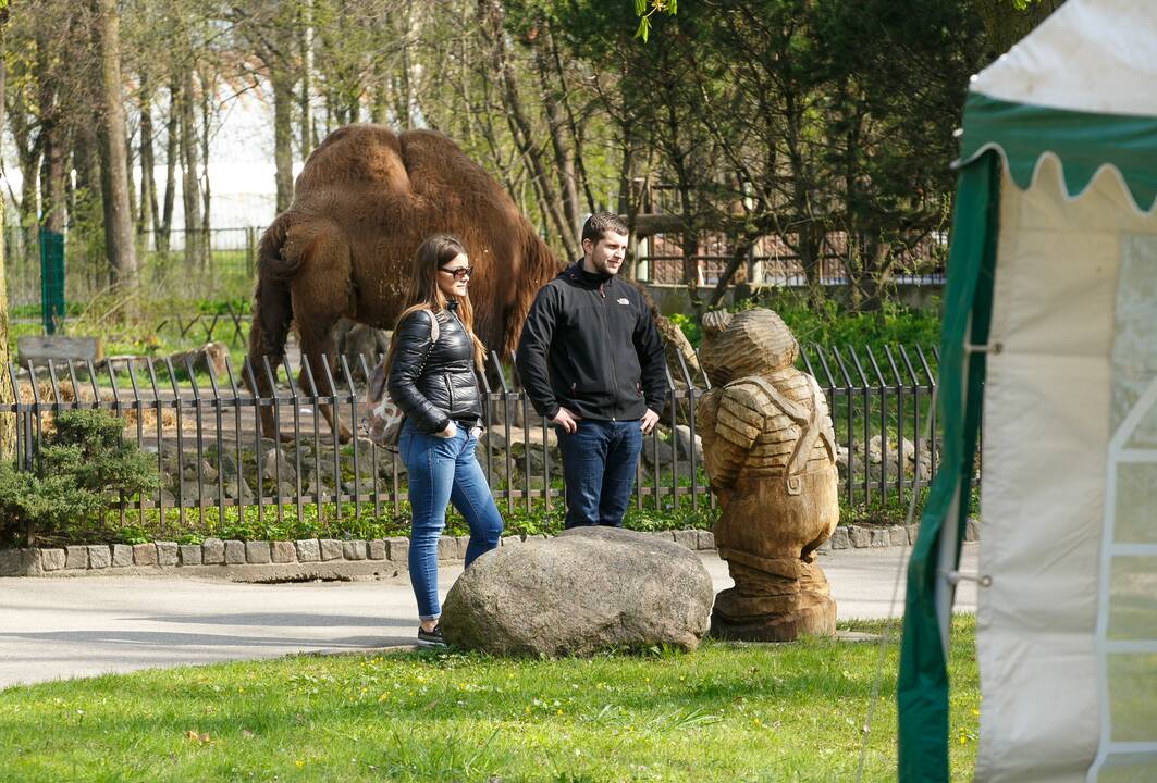 Zoologijos sodo sezono atidarymas