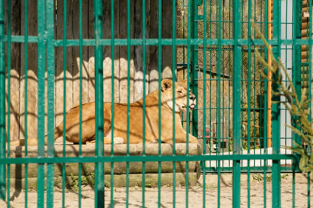 Zoologijos sodo sezono atidarymas