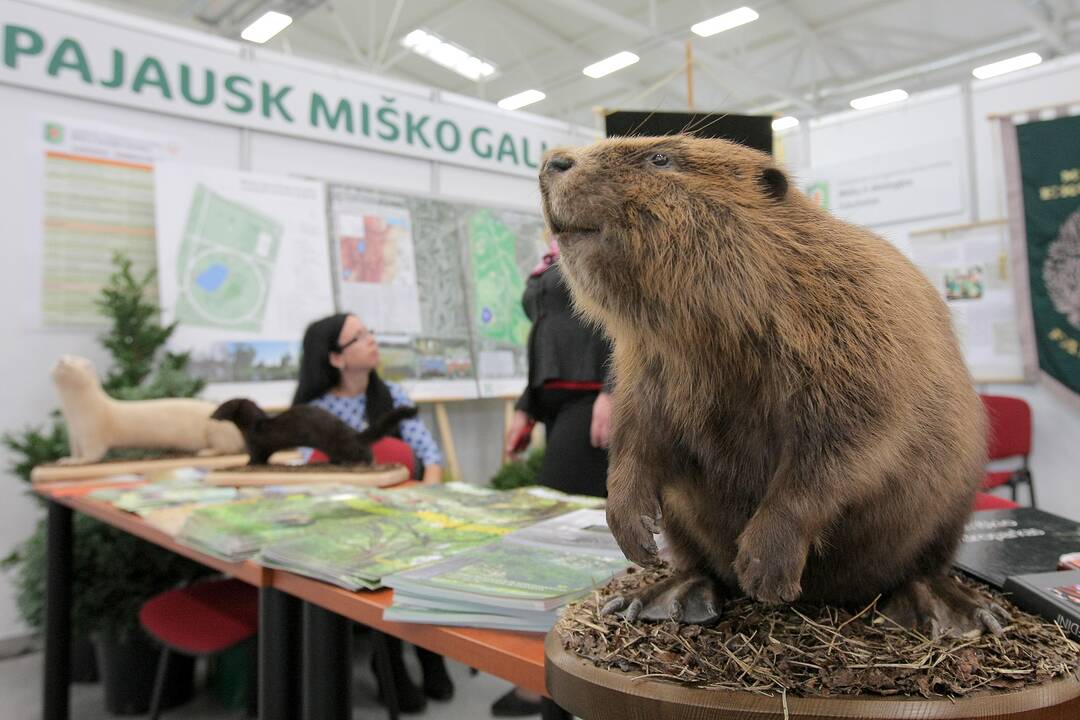 Miško, medžioklės, aplinkos ir gyvulininkystės technologijų paroda „Sprendimų ratas 2015“.