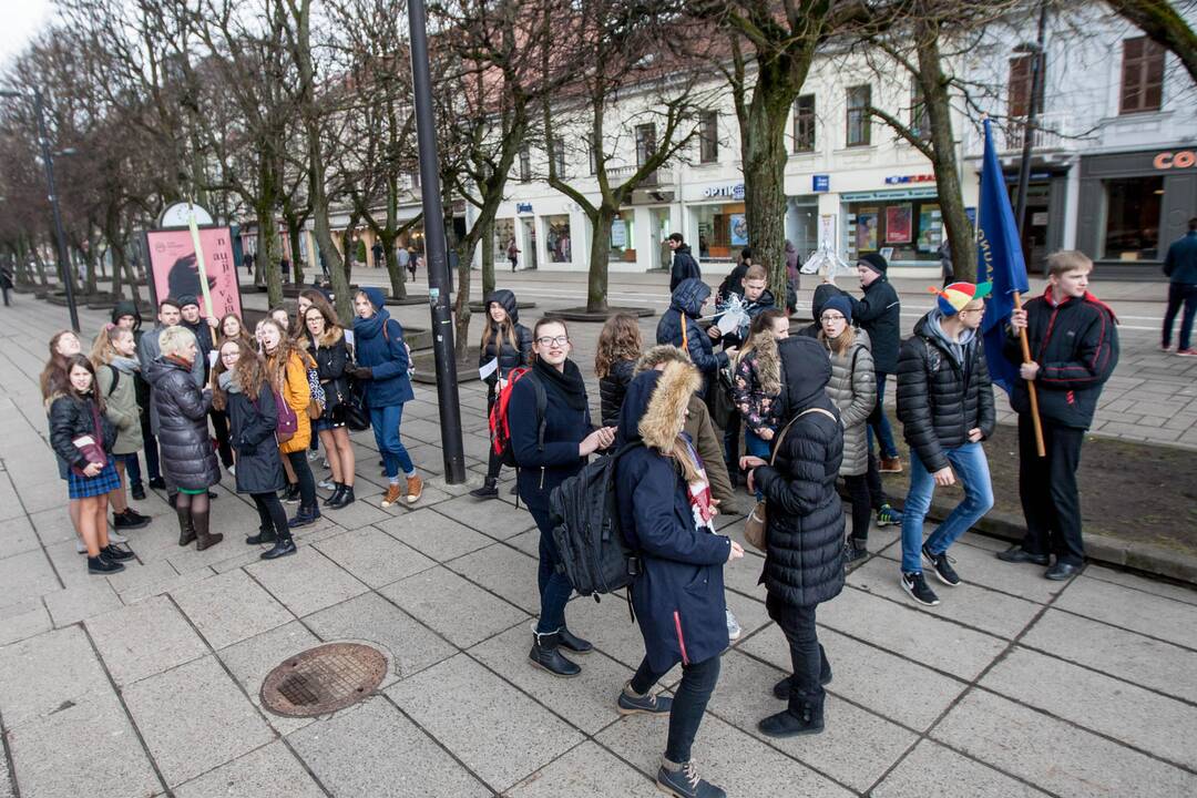 Žemės dienos minėjimas Kaune