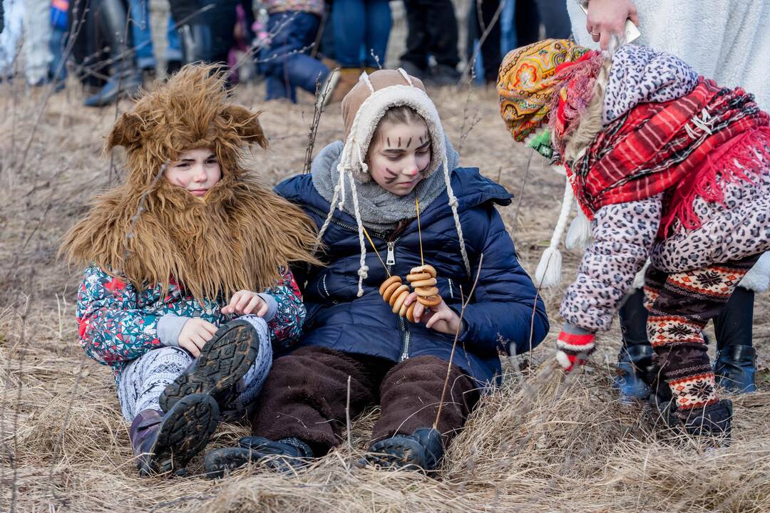 Rumšiškėse vykusios Užgavėnės