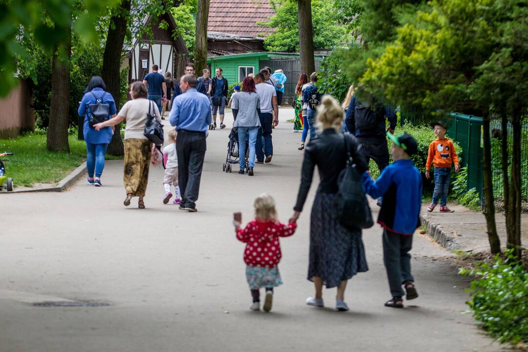 Gyvūnų prižiūrėtojo diena zoologijos sode