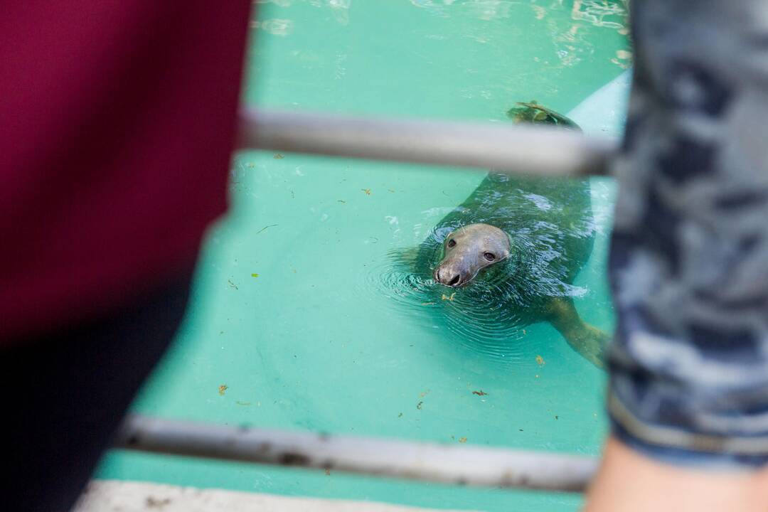 Gyvūnų prižiūrėtojo diena zoologijos sode