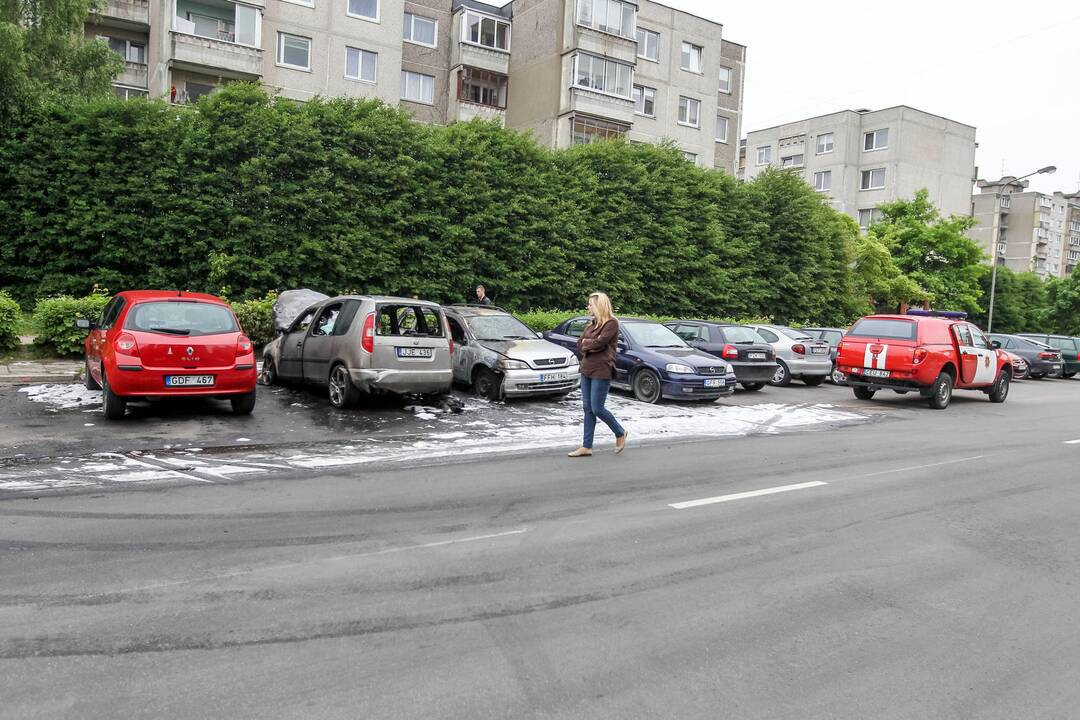 Šarkuvos g. sudegė du automobiliai