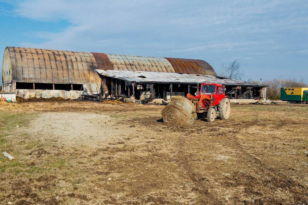 Gaisras Pagynės žirgyne