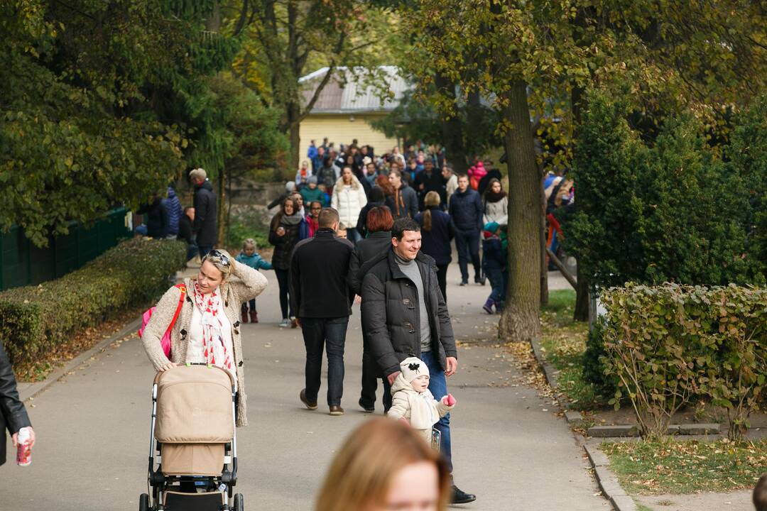 Šeštadienis zoologijos sode