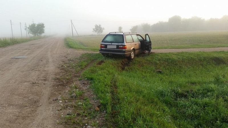 Rugių laukas neišgelbėjo automobilį pavogusio baltarusio