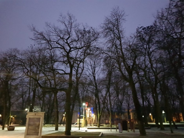 Rytinės varnų giesmės – Muzikinio teatro sode 