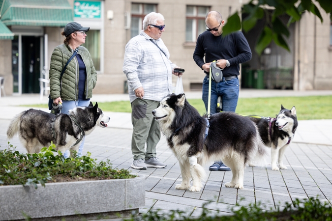 Kauniečių diena (2025-06-13)