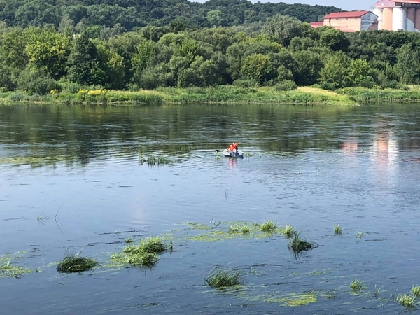 Upėje rastas skenduolis