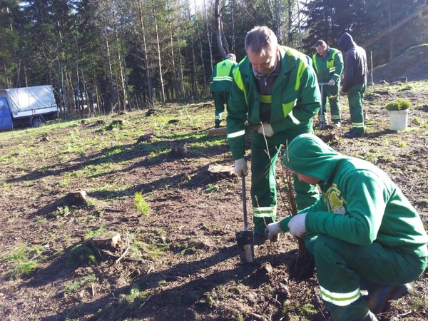 Skubota urėdijų reforma nepatenkinti miškininkai surengė piketą