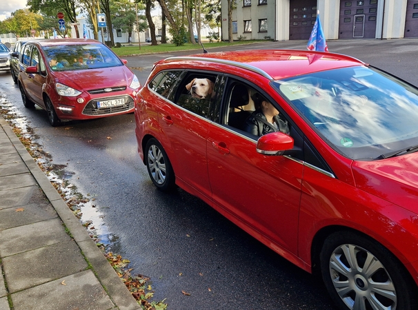 Uostamiestyje – „Švyturių ralis“ 