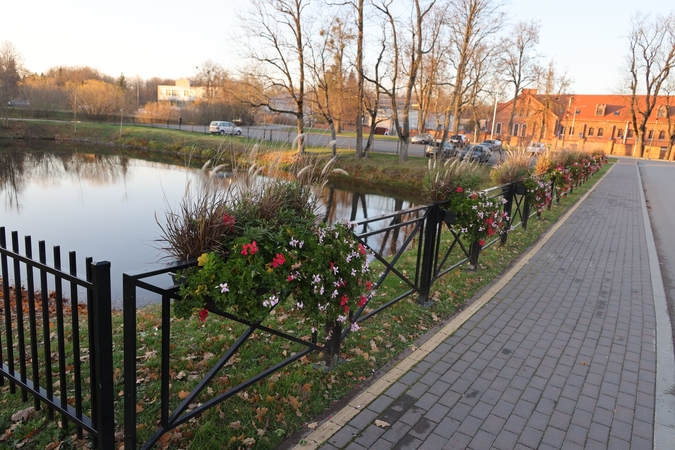 Raudondvario tvenkinukas vėl prisipildė gyvybės