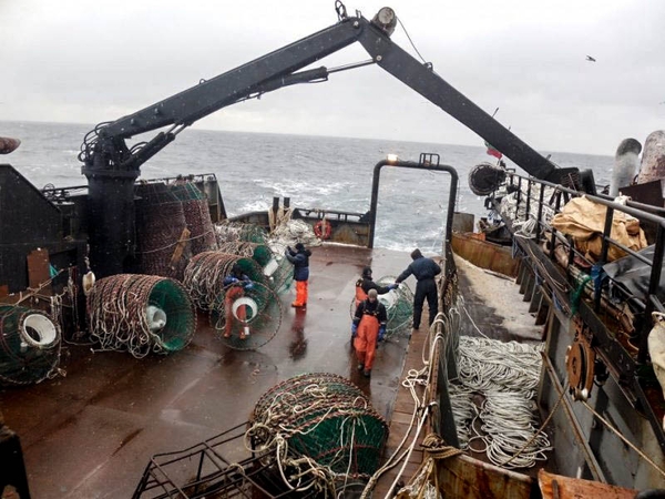 Verslas: "Arctic Fishing" žvejai Barenco jūroje gaudė krabus.