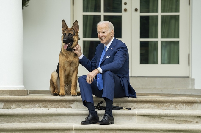 Bidenų šuo Komanderis buvo ištremtas iš  Baltųjų rūmų: apkandžiojo daugiau žmonių nei žinota