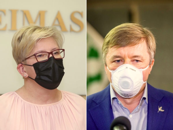 Premjerė atsakė R. Karbauskiui, ar priims šešėlinės Vyriausybės pagalbą
