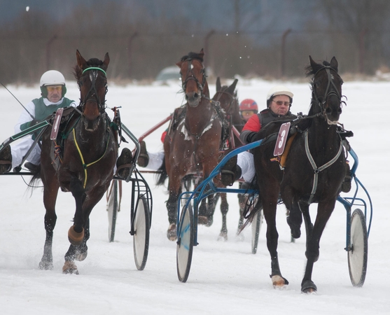 „Sartai 2017“ jau laukia sportininkų ir žiūrovų