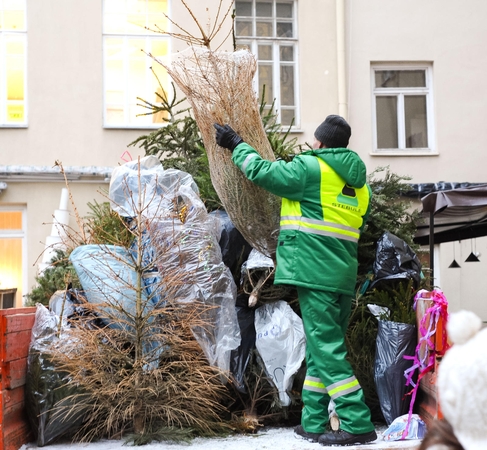 Paliksite nupuoštą eglutę prie konteinerio – gresia bauda iki 80 eurų 