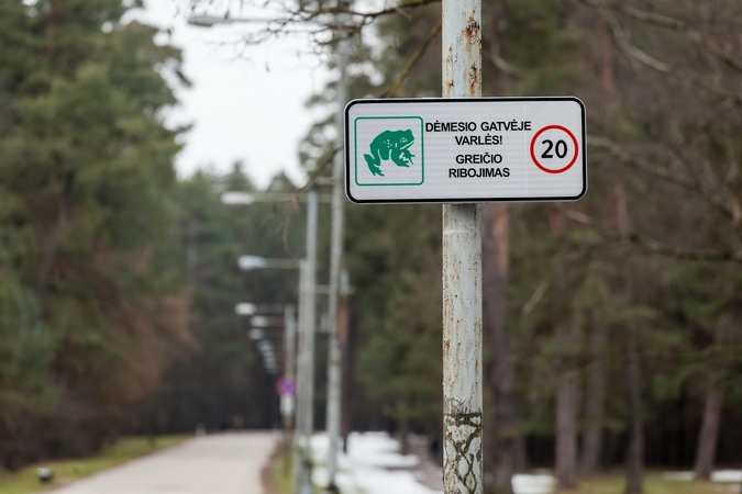 Dėl varlių migracijos – eismo ribojimai