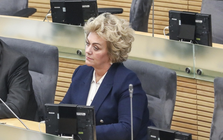 Tyrimui dėl I. Rozovos ryšių su rusų diplomatais – žalia šviesa