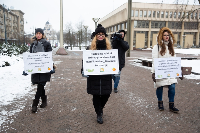 Seimo vadovė: šiuo metu būtų labai rizikinga teikti Stambulo konvenciją ratifikuoti
