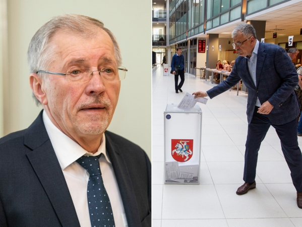 „Socialdarbiečiai“ siūlo Seimo rinkimus šiemet rengti ir internetu