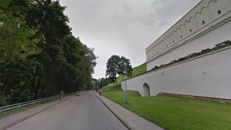 Grupė Seimo narių ragina nekeisti K. Škirpos alėjos pavadinimo