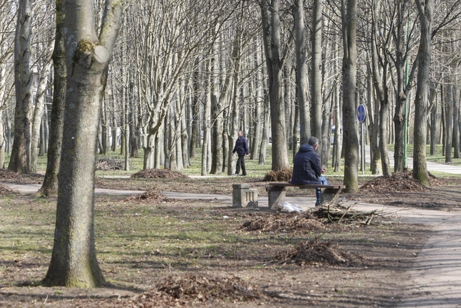 Draugystės parkas tapo šviesesnis