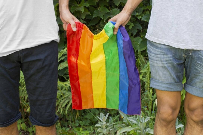 Po istorinio sprendimo dėl partnerystės – vertinimai: sukrės didžiąją dalį visuomenės