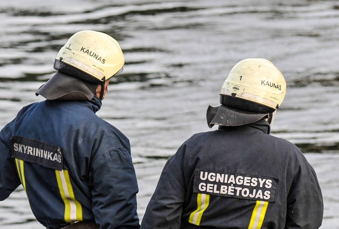 Nemune rastas moters kūnas