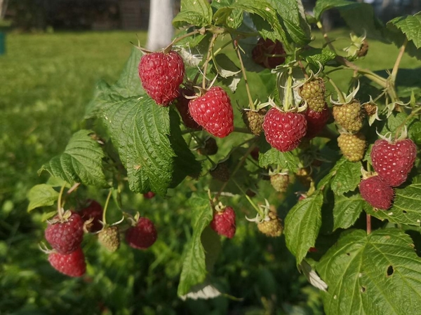 Rugsėjis pajūryje džiugins šiltais orais
