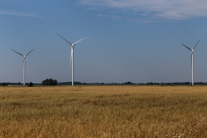Nesutariama, kas nuties infrastruktūrą vykdant vėjo elektrinių parko projektą