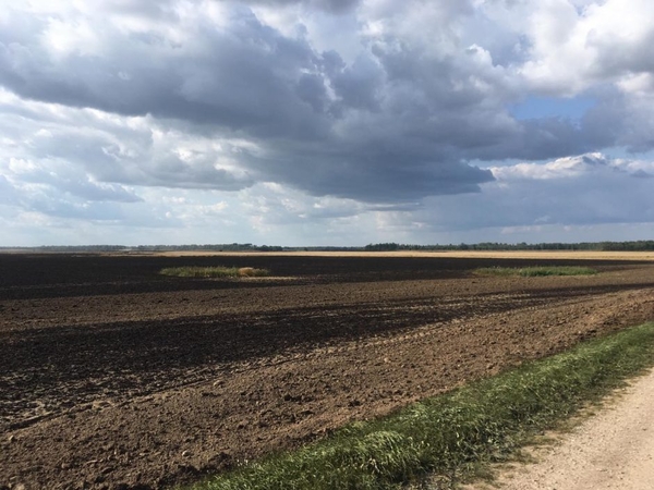 Javų lauke Alytaus rajone kilo gaisras: tik per stebuklą išvengta didelės nelaimės