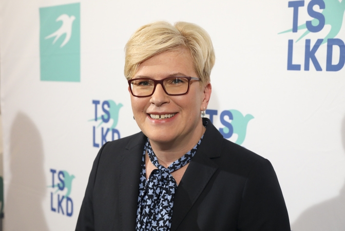 I. Šimonytė: panašumų tarp šiuose Seimo rinkimuose dalyvaujančių partijų yra nemažai