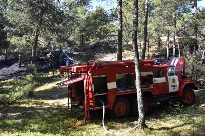 Prieš teismą stos Kuršių nerijos miško padegimu kaltinamas aštuoniolikmetis