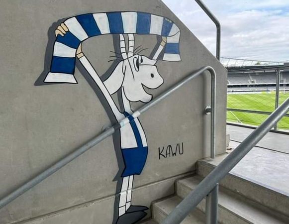 Futbolo varžybos Kaune: lenkų sirgaliai išpaišė stadiono sienas