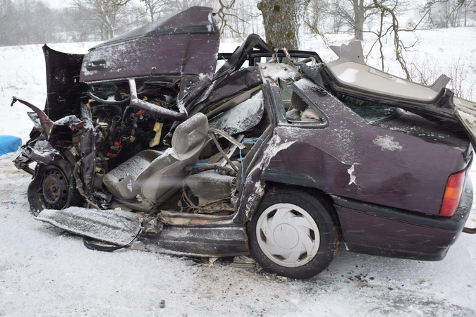 Alytaus rajone su vilkiku susidūrusio automobilio vairuotojas žuvo, moteris komoje
