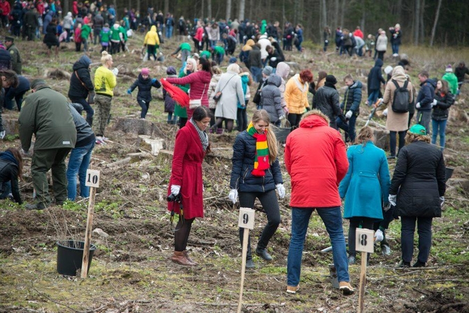 Izraelio ir Lietuvos diplomatinių santykių 25-mečiui – ąžuolų giraitė 