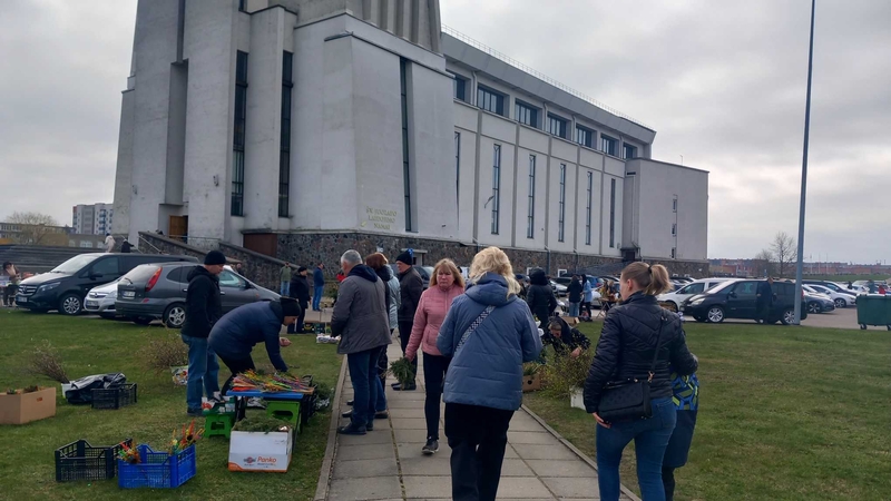 Klaipėdoje – spalvingas Verbų sekmadienis