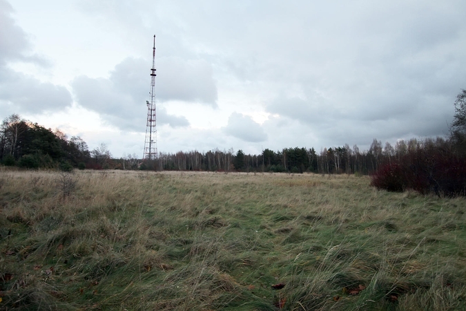Giruliuose ugniagesiai gelbėjo į bokštą užlipusį vyrą
