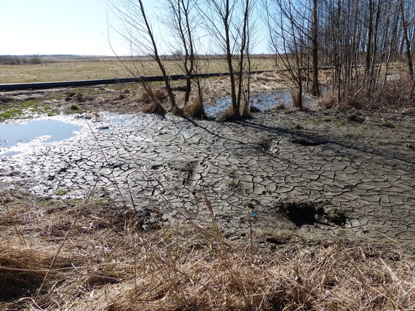 Situacija: aiškinama, kad į pievas pumpuojama tai, ką į uostelio užutėkį sunešė pats Nemunas.