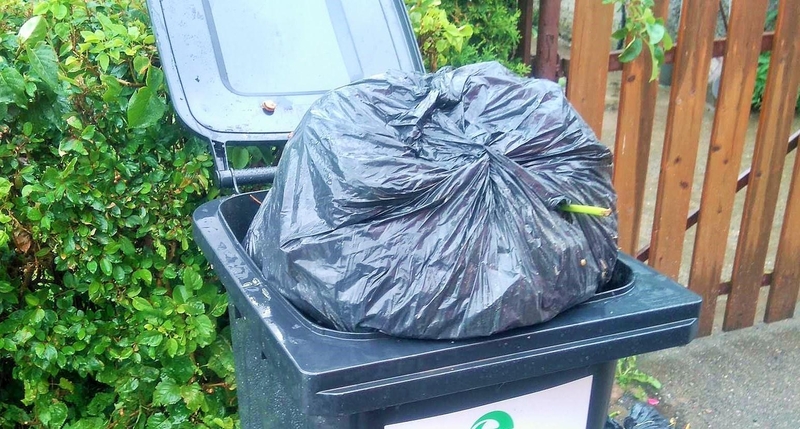 Pamoka: didžiausia rūšiavimo klaida – žaliąsias atliekas į konteinerį išmesti plastiko maišeliuose.
