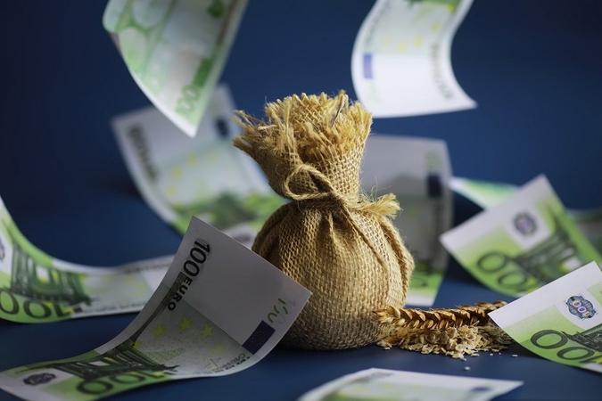 Ministerijoms liepta sumažinti išlaidas: tikisi sutaupyti iki milijardo eurų?